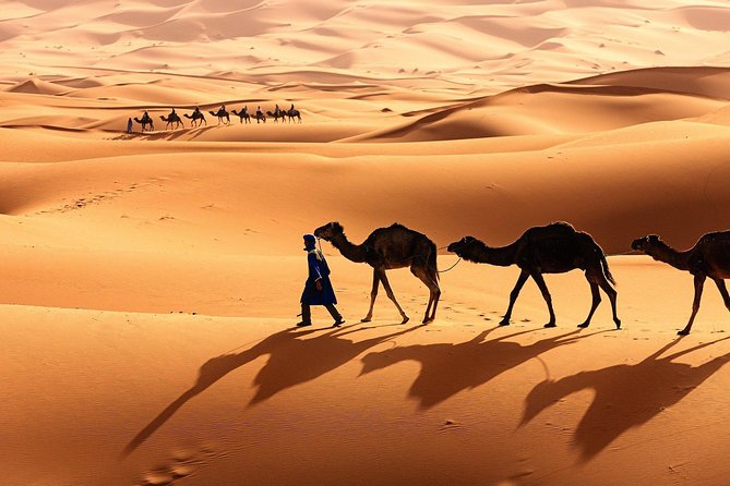 Morocco shared desert tour 3 days - Why This Marrakech Shared Desert Tour Is Such Good Value