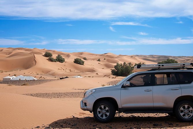 Morocco shared desert tour 3 days - Day 2: Todra Gorge Walk, Erfoud Fossils, and the Erg Chebbi Camel Ride