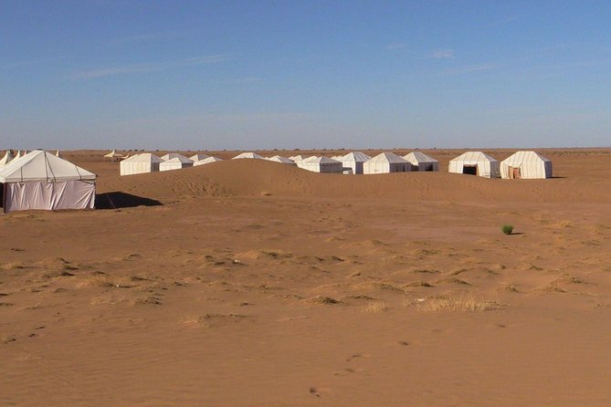 Morocco shared desert tour 3 days - Day 2 Camp: What the Included Dinner Means for Your Budget