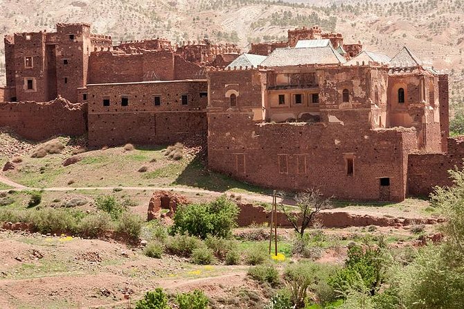 Morocco shared desert tour 3 days - Day 3: Rissani Souks and the Draa Valley Palm Drive Back
