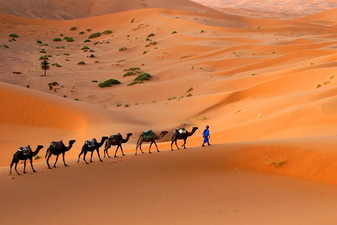 Morocco shared desert tour 3 days - Day 1 Night: Why Dades Gorges Sets Up Your Desert Night