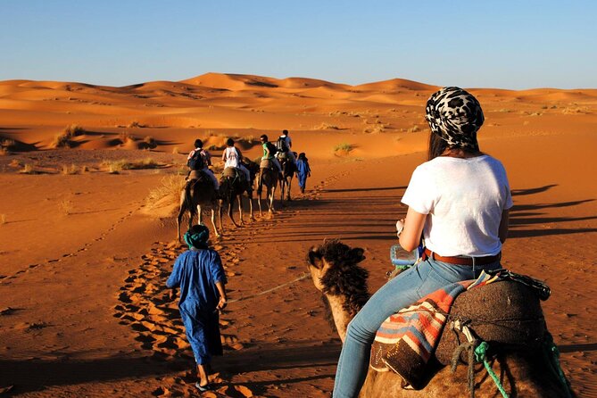 Morocco Top Trips: 15-Day Private Tour in Morocco - Volubilis and Meknes: Roman ruins and gate-and-medina touring
