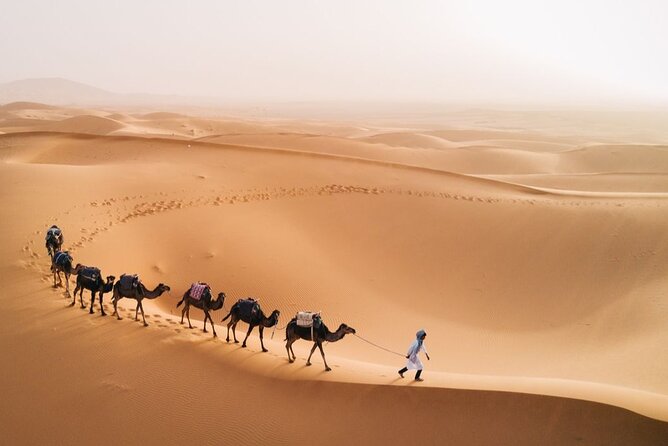 Morocco Tour from Casablanca to Sahara and Marrakech 5 days - Day 1: Rabat landmarks, Meknes gates, Volubilis ruins, then a Fez riad night