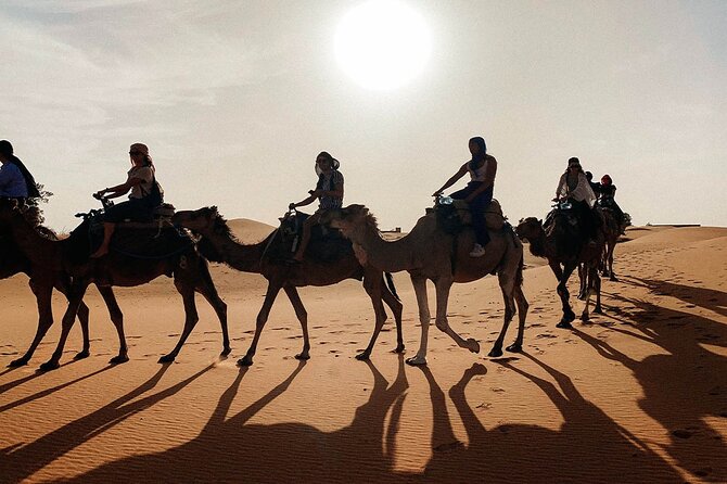 Morocco tour start from Casablanca 8 days - The Middle Atlas to Merzouga: Ifran, cedar forests, and the Ziz Valley