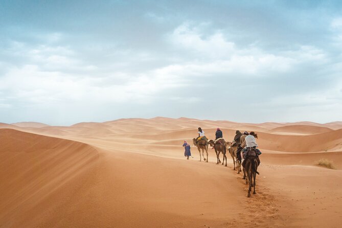 Morocco tour start from Casablanca 8 days - Fez el Bali with a guide: tanneries, Al-Karawiyyin, and ceramics