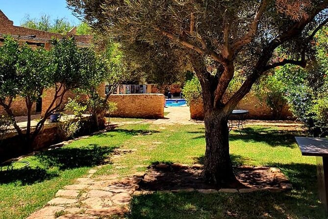 Morocco Vineyard Visit and Gourmet Tours - Marrakech via Ouarzazate and Ait Ben Haddou: Atlas Pass Views and Movie-Set History