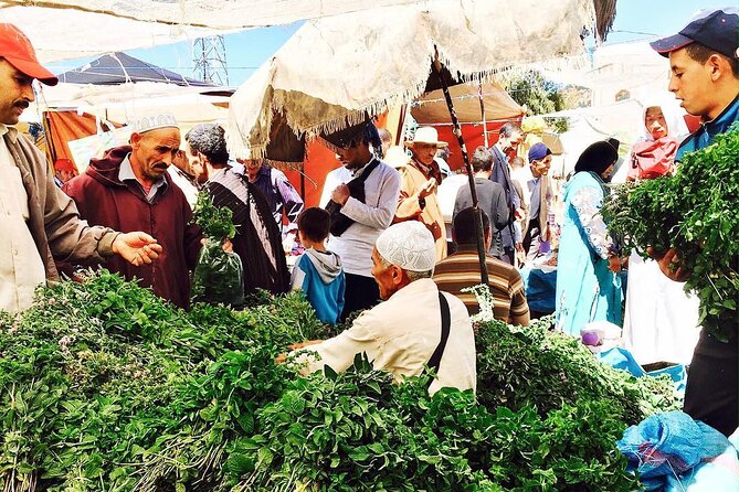 Morocco's Top Cooking Classes For Authentic berber Cuisine in the Atlas Mountain - Marrakech to the Atlas: the value of a prompt morning