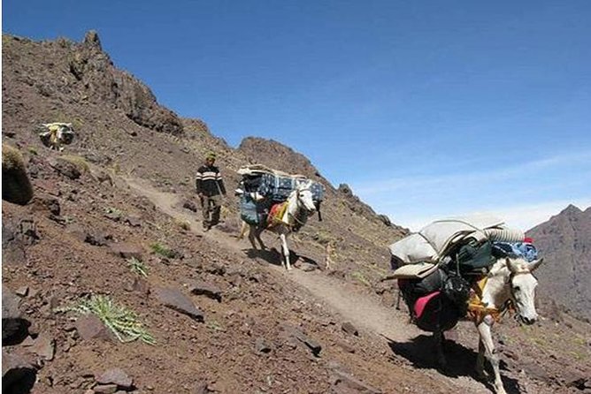 Mount Toubkal: 2-Day Climb from Marrakech - Night at the refuge: sleep in the mountains, not on a cloud