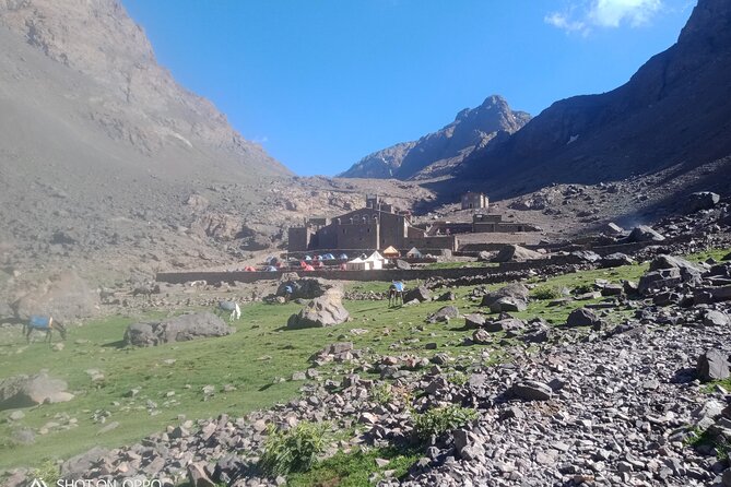 Mount Toubkal Summit - Summit day to 4165m: the sunrise push and the descent you earn