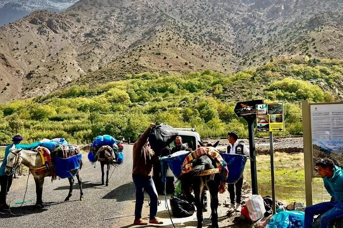 Mount Toubkal Summit - Who this Mount Toubkal trek suits best