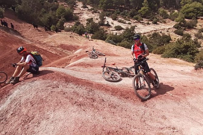 Mountain Biking Day Trip in the Atlas Mountain - Who this Atlas biking day suits best (and who should reconsider)