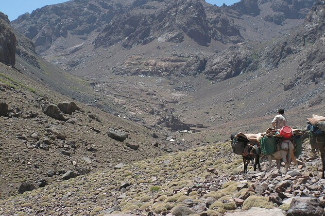 Mt Toubkal Ascent Express Trek 2 Days 1 Night - Reaching the top of Jebel Toukbal: the views go 360°