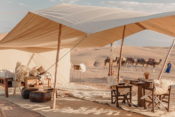 Nomad desert dinner camel ride & bonfire : Marrakech activity - Key things to know before you go