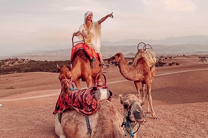 Nomad desert dinner camel ride & bonfire : Marrakech activity - Desert Sunset in Marrakech’s Backyard