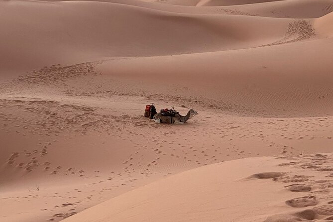 North to South in 6 Days - Marrakech pickup and getting oriented without the stress
