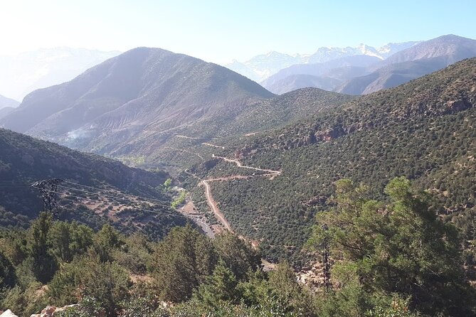 North to South in 6 Days - Ifrane and the monkey spotting near protected areas