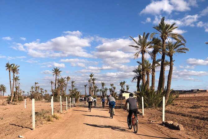 Oasis Tour On Bicycle - Getting Started at Marrakech Green Wheels