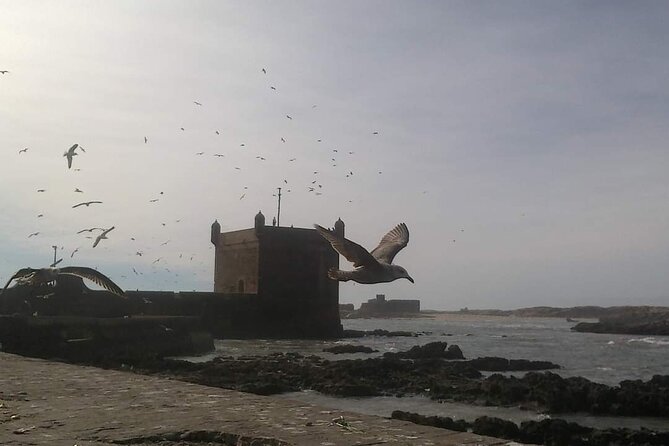 One day tour from Marrakech to essouira - Price and Value: What $18.70 Covers (and What You’ll Need)