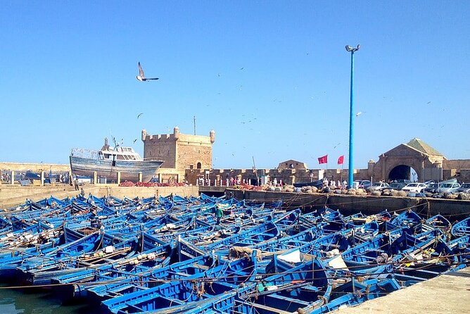 One day tour from Marrakech to essouira - Timing, Weather, and What to Pack for an Atlantic-Style Day