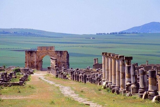 One day trip to Volubilis and meknes from Fes - Volubilis: Roman mosaics, arches, and why olives made it thrive