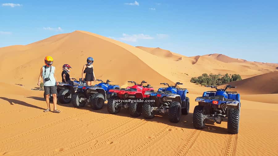 One Hour Sahara Desert Quad Biking tour - Key Things You’ll Notice on This Tour