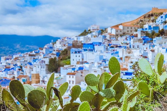 One way Transfer Tangier to Chefchaouen or vice versa - Door-to-door pickup in Morocco: what to expect on arrival day