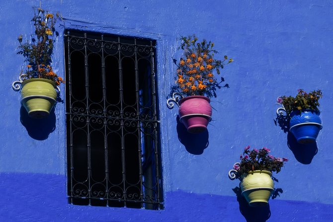 One Way Trip from Fes to Tangier via Chefchaouen - Chefchaouen time: what 4 hours can realistically do