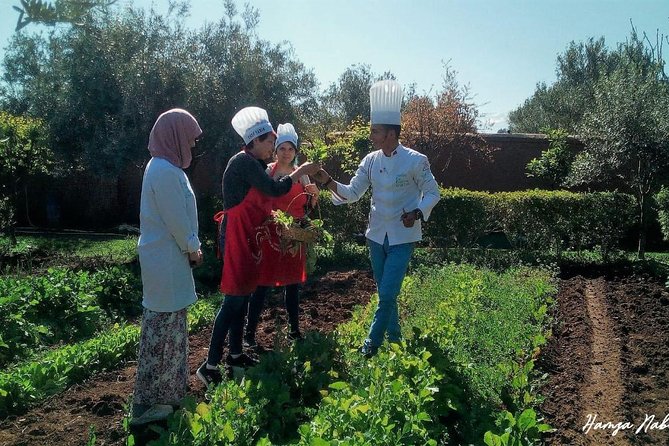 Organic Moroccan Cooking Class At Secret Berber Garden CT - Price and value in Marrakech terms