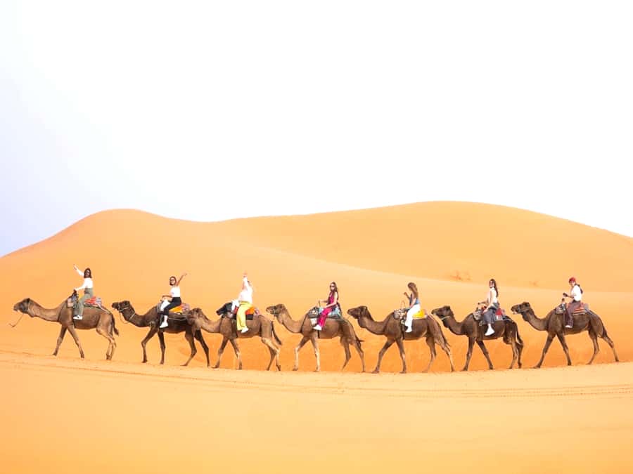 Ouarzazate to Marrakech: 3-Day Desert Tour with Camel Trek - Key highlights that matter (and why)