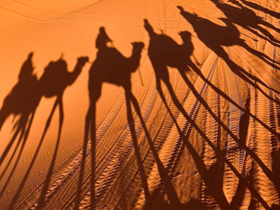 Ouarzazate to Marrakech: 3-Day Desert Tour with Camel Trek - Day 3: breakfast in camp, return toward Ouarzazazate, then on to Marrakech