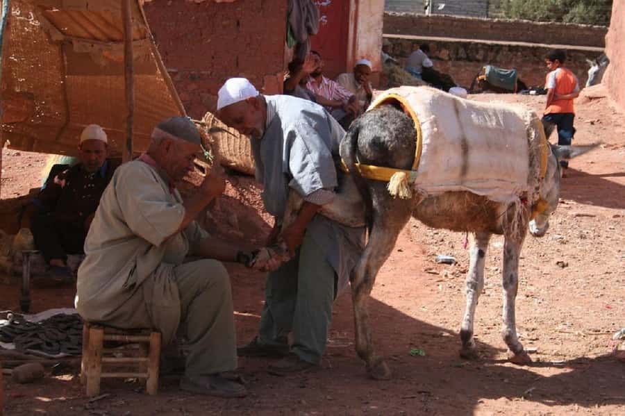 Ouirgan Berber villages & Salt mine Day trip from Marrakech - Lunch with a family: tajine, couscous, and dietary care