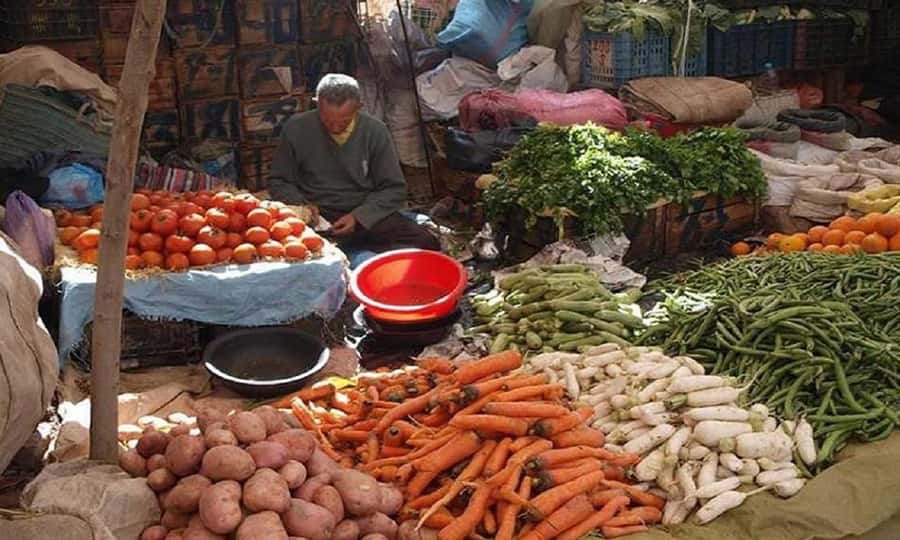 Ouirgan Berber villages & Salt mine Day trip from Marrakech - Timing and group size: what a 1-day plan asks of you