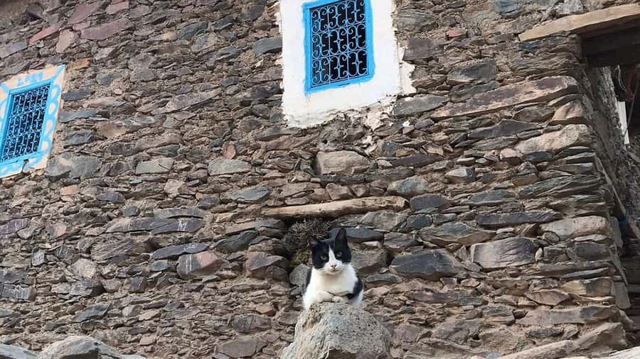 Ouirgan Berber villages & Salt mine Day trip from Marrakech - Practical tips that make the day easier