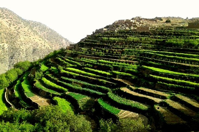 Ouirgane Trekking & Hiking from Ouirgane to Imlil – 4 Days - Key highlights