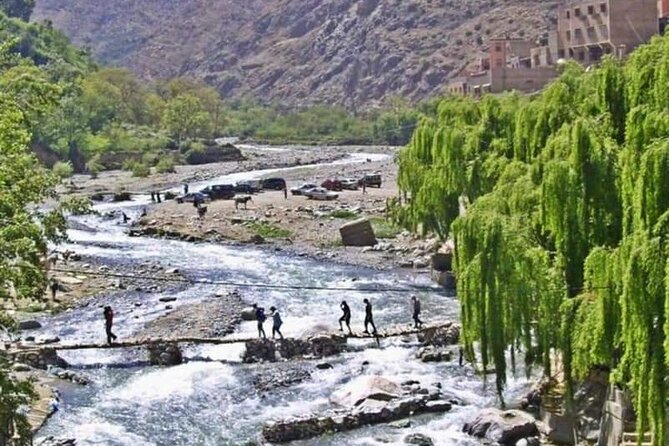Ourika day tour from Marrakech - Berber Village Walking: Mud-Walled Homes and Daily Life