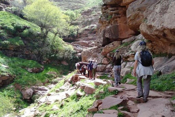 Ourika tizi n'oucheg - Key things to know before you go