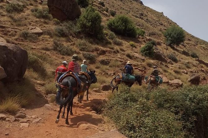 Ourika tizi n'oucheg - Pace and timing: what 8 to 10 hours really feels like