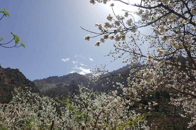 Ourika tizi n'oucheg - Price and value: Is $88.35 a smart deal?