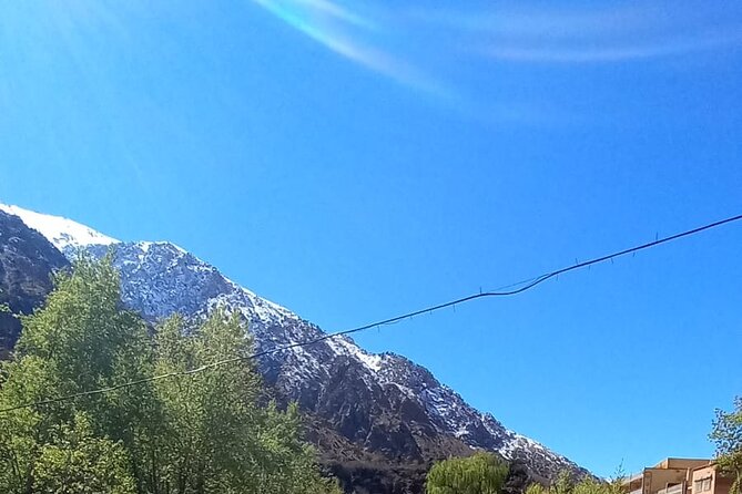 Ourika Valley and Atlas Mountains Day Trip - Morning Pickup From Marrakech: Why the Day Feels Easy