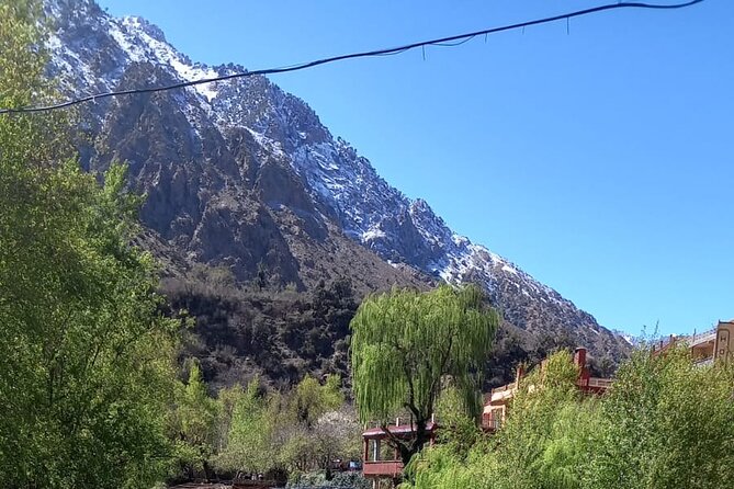 Ourika Valley and Atlas Mountains Day Trip - Sti Fadma Streamside Break: Lunch Near the River