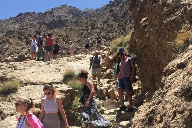 Ourika Valley and Atlas Mountains Day Trip - Price and Inclusions: Where the Value Actually Comes From