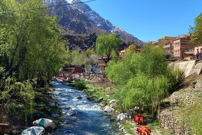 Ourika Valley and Atlas Mountains Day Trip - The Human Touch: What Adil’s Reviews Tell You to Expect