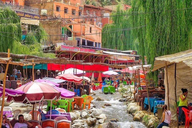 Ourika Valley and Atlas Mountains Day Trip From Marrakech - Price and Value: Why $18.84 Can Make Sense for This Day