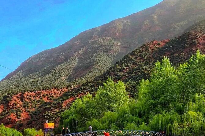 Ourika Valley and Atlas Mountains Day Trip From Marrakech - Ourika Valley: River Time, Nature Interest, and a Break From City Life