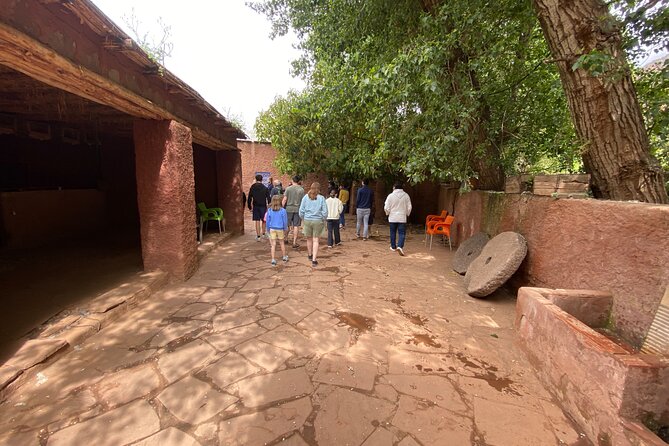 Ourika Valley and Atlas Mountains Tour with Lunch - Argan oil cooperative: why seeing seed-to-oil changes how you shop