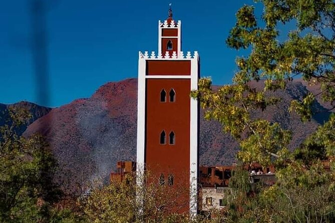 Ourika Valley and Berber Village Tour - Why the Ourika Valley day trip works (even if you only have one day)