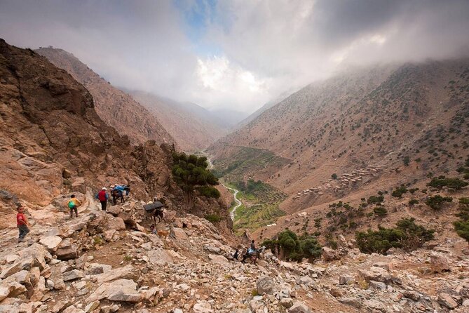 Ourika Valley and Berber Village Tour - Tafza tea and a Berber house moment: culture you can see up close