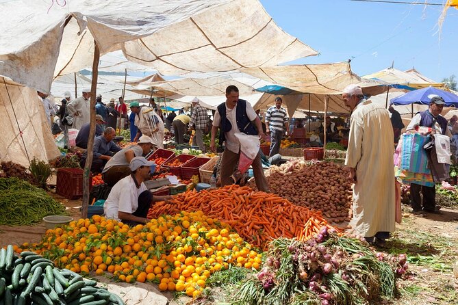 Ourika Valley and Berber Village Tour - Setti Fatma and the Seven Cascades hike: the main payoff
