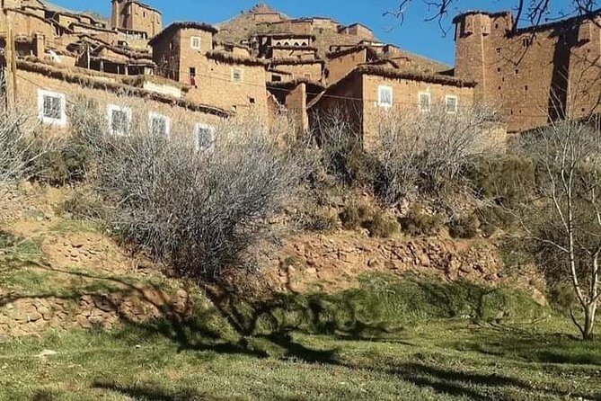 Ourika Valley and Berber Village Tour - Getting started: 9:00 pickup and a comfy private ride