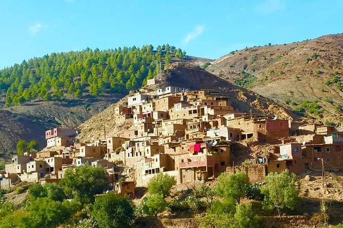 Ourika valley and berber villages day trip with Guide+Lunch - Tamzenndirt and Dar Zite: how Berber life and argan oil fit together